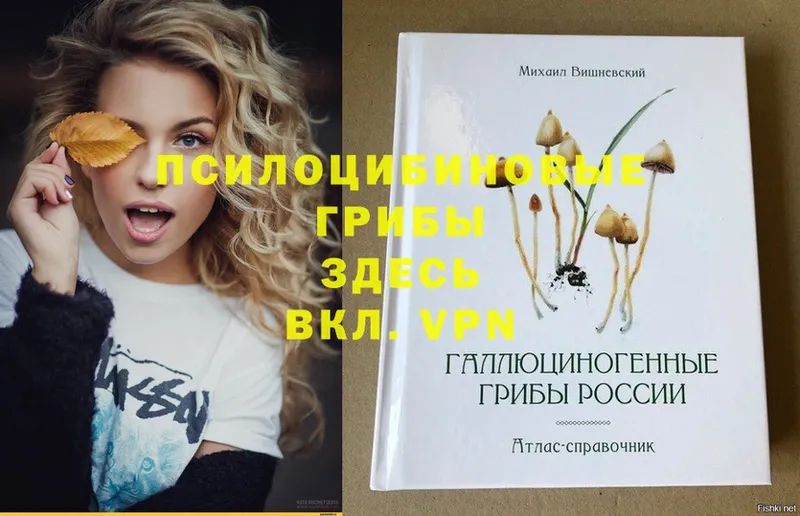 Псилоцибиновые грибы Psilocybe  МЕГА ссылки  площадка формула  Пионерский 